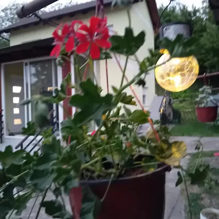 Lux Snezana Appartement Vrdnik